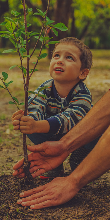 Derecho de Familia y Sucesorio | Herencias